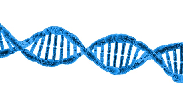 modrá molekula DNA